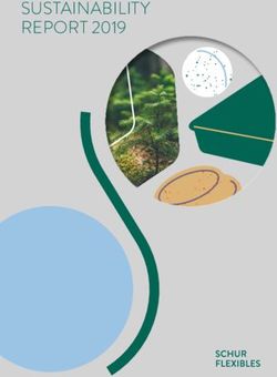 SUSTAINABILITY REPORT 2019 - SCHUR Flexibles