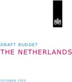 THE NETHERLANDS DRAFT BUDGET - OCTOBER 2020 - European Commission