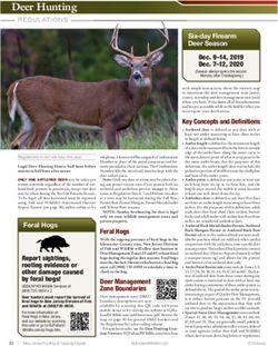 Deer Hunting R EGUL ATIO N S - Division of ...