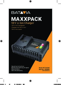 MAXXPACK 18 V Li-Ion Charger - 18 V Li-Ion Ladegerät Chargeur de 18 V Li-Ion 18 V Li-Ion Lader - Batavia
