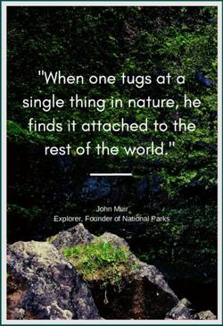 John Muir Explorer, Founder of National Parks - Visit Jersey Trade ...