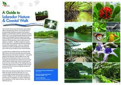 A Guide to Labrador Nature & Coastal Walk