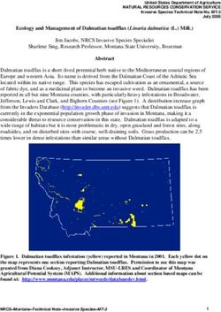 Ecology and Management of Dalmatian toadflax (Linaria dalmatica (L.) Mill.)