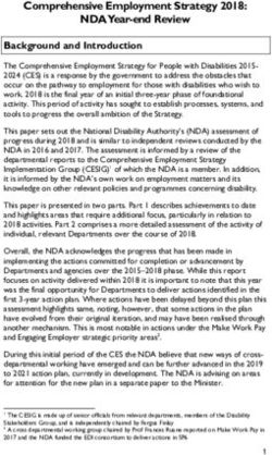 Comprehensive Employment Strategy 2018: NDA Year-end Review