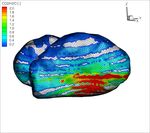 Title: Time variability and heterogeneity in the coma of 67P/Churyumov-Gerasimenko