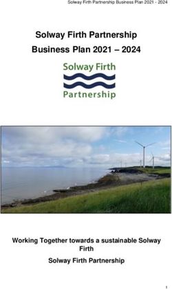 Solway Firth Partnership Business Plan 2021 2024 - Working Together ...