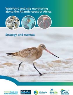 Waterbird and site monitoring along the Atlantic coast of Africa Strategy and manual