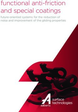 Functional anti-friction and special coatings - future-oriented systems for the reduction of noise and improvement of the gliding properties ...