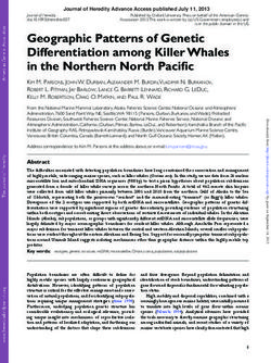 Geographic Patterns of Genetic Differentiation among Killer Whales in the Northern North Pacific