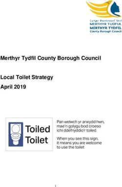 Merthyr Tydfil County Borough Council Local Toilet Strategy April 2019