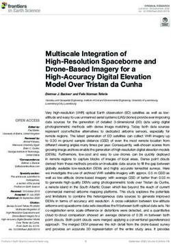 Multiscale Integration of High-Resolution Spaceborne and Drone-Based Imagery for a High-Accuracy Digital Elevation Model Over Tristan da Cunha ...