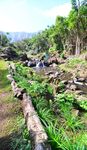 Hawai'i's Nonpoint Source Management Plan - 2015 to 2020 Polluted Runoff Control Program