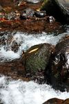 Hawai'i's Nonpoint Source Management Plan - 2015 to 2020 Polluted Runoff Control Program