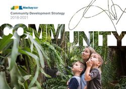 Community Development Strategy 2018-2021 - Mackay Regional ...