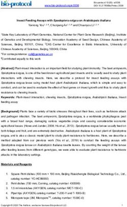 Insect Feeding Assays with Spodoptera exigua on Arabidopsis thaliana