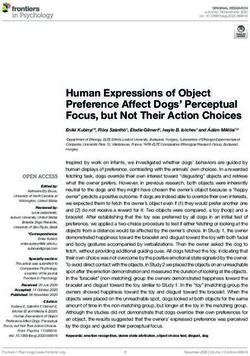 Human Expressions of Object Preference Affect Dogs' Perceptual Focus, but Not Their Action Choices