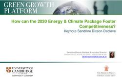 How can the 2030 Energy & Climate Package Foster Competitiveness? - Keynote Sandrine Dixson-Declève