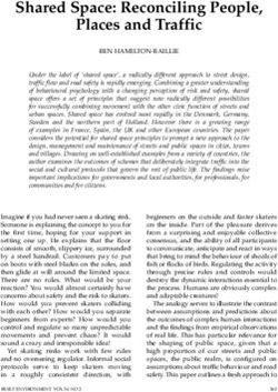 Shared Space: Reconciling People, Places and Traffic