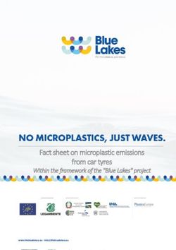 Fact sheet on microplastic emissions from car tyres - Within the framework of the "Blue Lakes" project - Life Blue ...