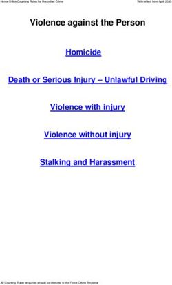 Violence against the Person Homicide Death or Serious Injury - Unlawful Driving Violence with injury Violence without injury Stalking and ...