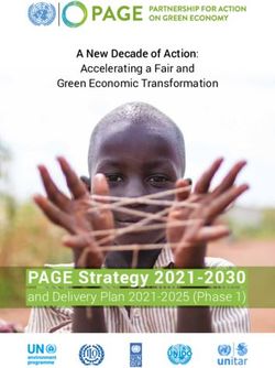PAGE Strategy 2021-2030 - and Delivery Plan 2021-2025 (Phase 1) - A New Decade of Action: Accelerating a Fair