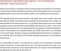 IMPORTANT INFORMATION ABOUT THE SYNDICATE REPORT AND ACCOUNTS