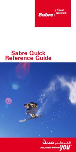 sabre format guide