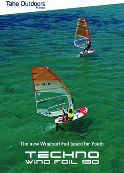The new Windsurf Foil board for Youth - International ...