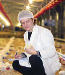 Antibiotic Stewardship Within U.S. Poultry Production - 2013-2022 Report