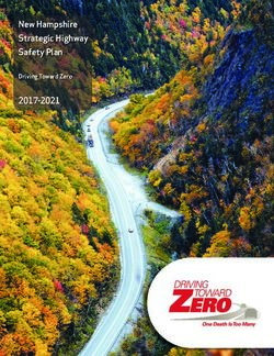 New Hampshire Strategic Highway Safety Plan 2017-2021 - Driving Toward Zero