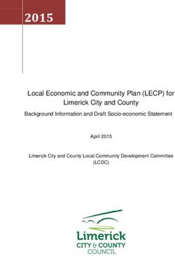 2015 Local Economic and Community Plan (LECP) for Limerick City and County - Background Information and Draft Socio-economic Statement - HSE