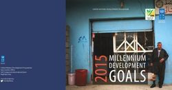 UNITED NATIONS DEVELOPMENT PROGRAMME - United Nations Development Programme Iraq Country Office UN Compound, International Zone Baghdad, Iraq ...