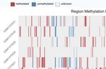 ScMethBank: a database for single-cell whole genome DNA methylation maps