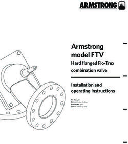 Armstrong model FTV Hard flanged Flo-Trex combination valve Installation and operating instructions