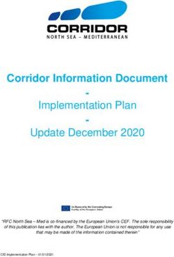 Corridor Information Document - Implementation Plan Update December 2020 - Med