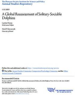 A Global Reassessment of Solitary-Sociable Dolphins