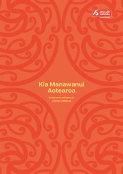 Kia Manawanui Aotearoa - Long-term pathway to mental wellbeing ...