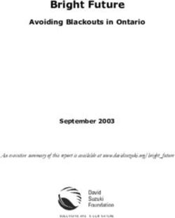 Bright Future Avoiding Blackouts in Ontario September 2003 - David Suzuki Foundation