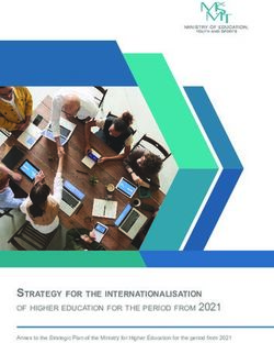 Strategy For The InternationaliSation - Of Higher Education For The ...