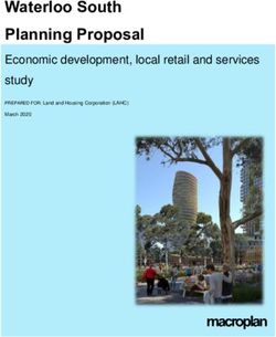 Waterloo South Planning Proposal - Economic development, local retail and services study