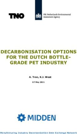 DECARBONISATION OPTIONS FOR THE DUTCH BOTTLE-GRADE PET INDUSTRY - A. Tran, K.J. West