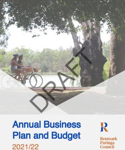 DRAFT Annual Business Plan and Budget 2021/22