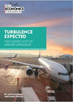 TURBULENCE EXPECTED THE CLIMATE COST OF AIRPORT EXPANSION - ECONOMICS - New Economics Foundation