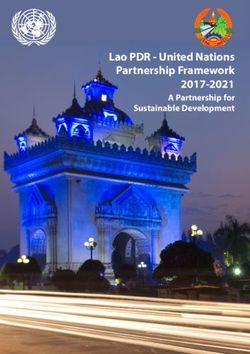 Lao PDR - United Nations Partnership Framework 2017-2021 - A Partnership for Sustainable Development - UNDP
