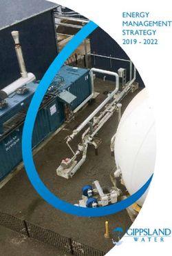 ENERGY MANAGEMENT STRATEGY 2019 2022