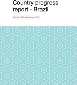 Country progress report - Brazil - Global AIDS Monitoring 2020 - unaids