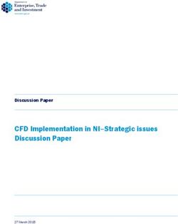 CFD Implementation in NI-Strategic issues Discussion Paper - Discussion Paper