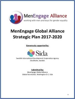 MenEngage Global Alliance Strategic Plan 2017-2020 - Generously supported by: Submitted by