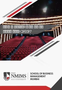 SUMMER PLACEMENT REPORT 2017-19 - sbm nmims