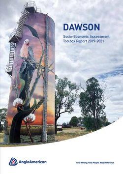 DAWSON Socio-Economic Assessment Toolbox Report 2019-2021 - Anglo American Australia